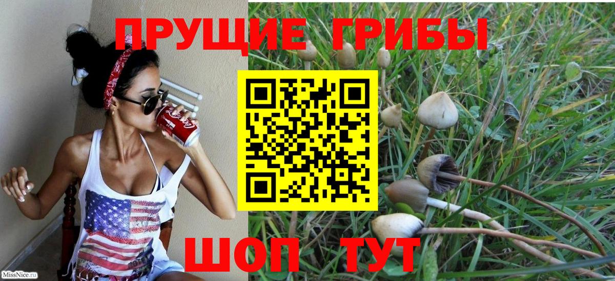 Псилоцибиновые грибы ЛСД Артём