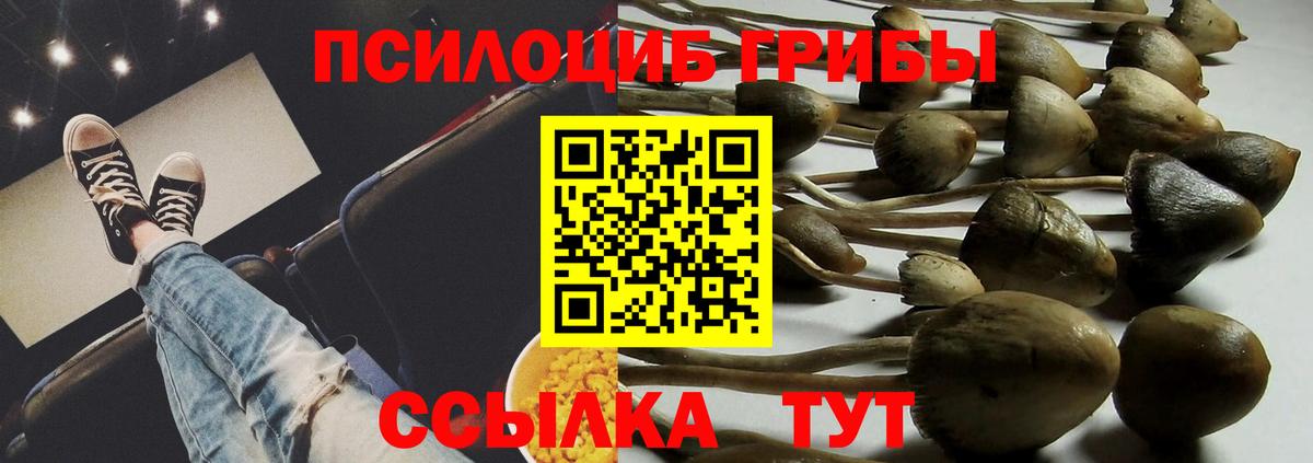 Артём  Галлюциногенные грибы прущие грибы  Псилоцибиновые грибы прущие грибы  Вход с VPN 