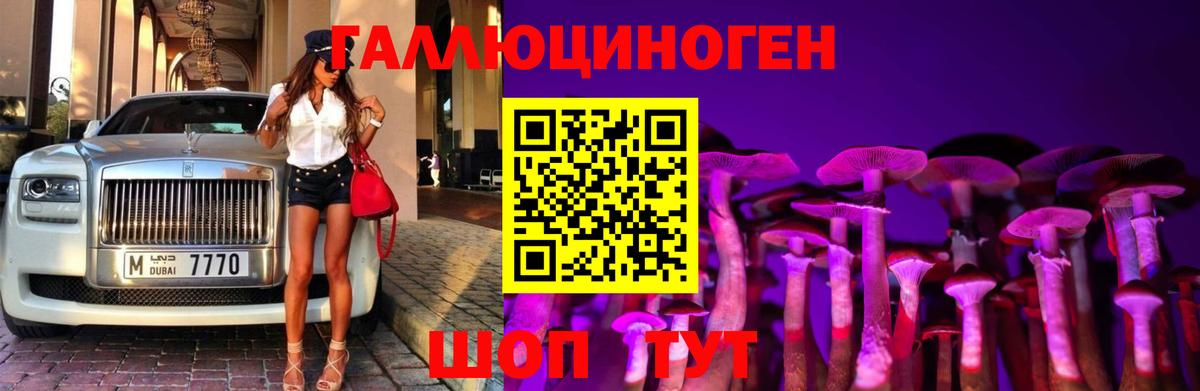 Галлюциногенные грибы Cubensis  Артём 